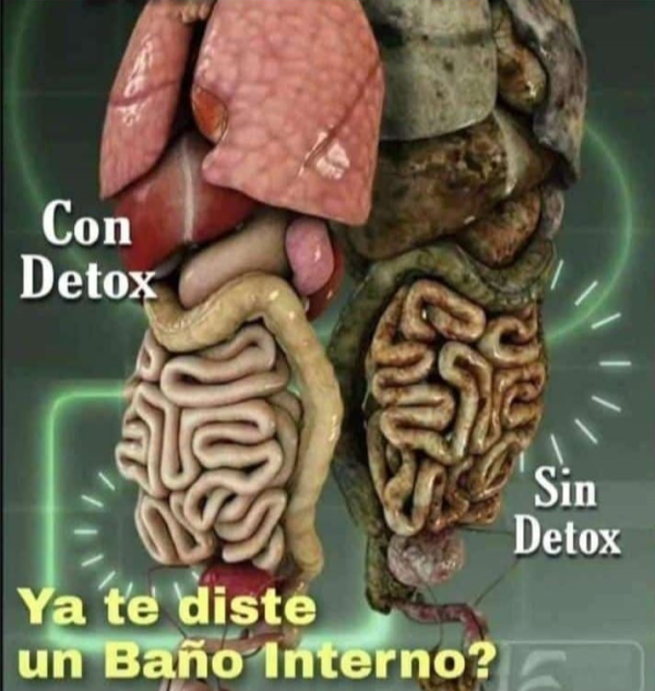 D-TOX Premiun - Imagen 7