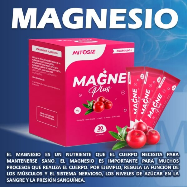 MAGNE  PLUS 30 Sachets - Imagen 4