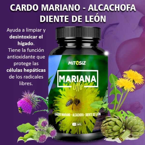 MARIANA LIFFE 90 capsulas - Imagen 2